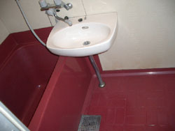 �����{�H�O