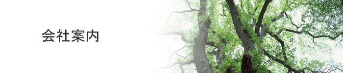 �G�[�[�b�g��Јē����o���摜