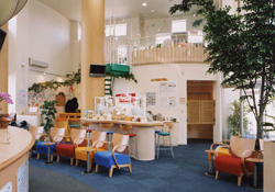 �{�H��R�摜